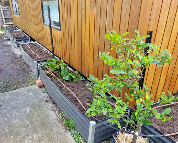 garden irrigation ormond alex thompson gardens