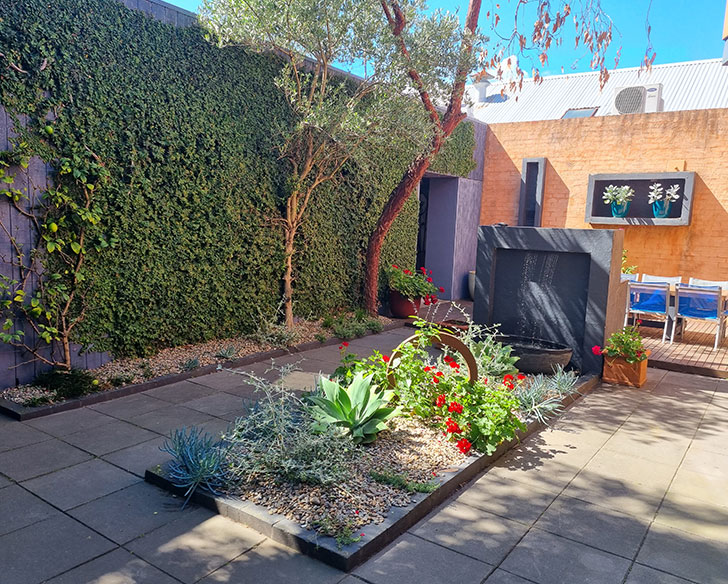 Mediterranean courtyard Murrumbeena - Alex Thompson Gardens