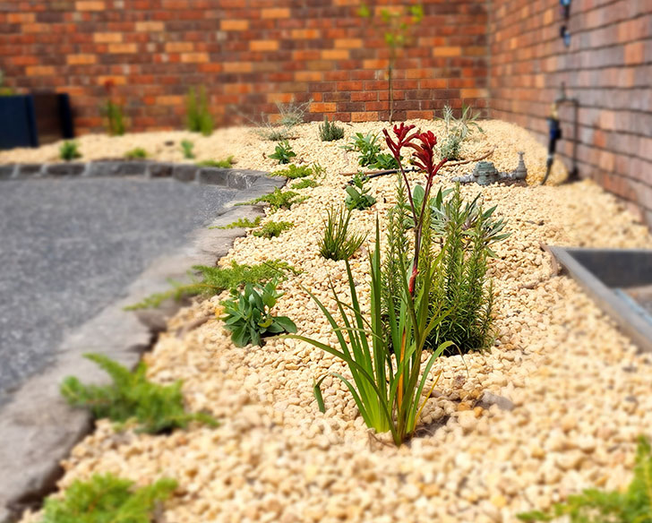 Murrumbeena mediterranean delight - Alex Thompson Gardens