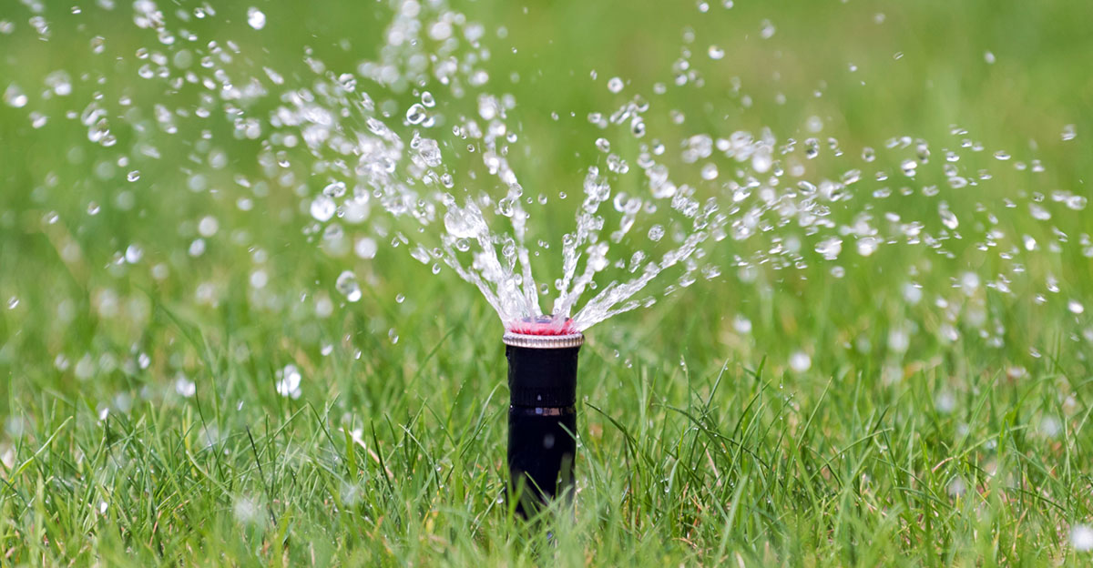 Garden Irrigation tips and help from Alex Thompson Gardens