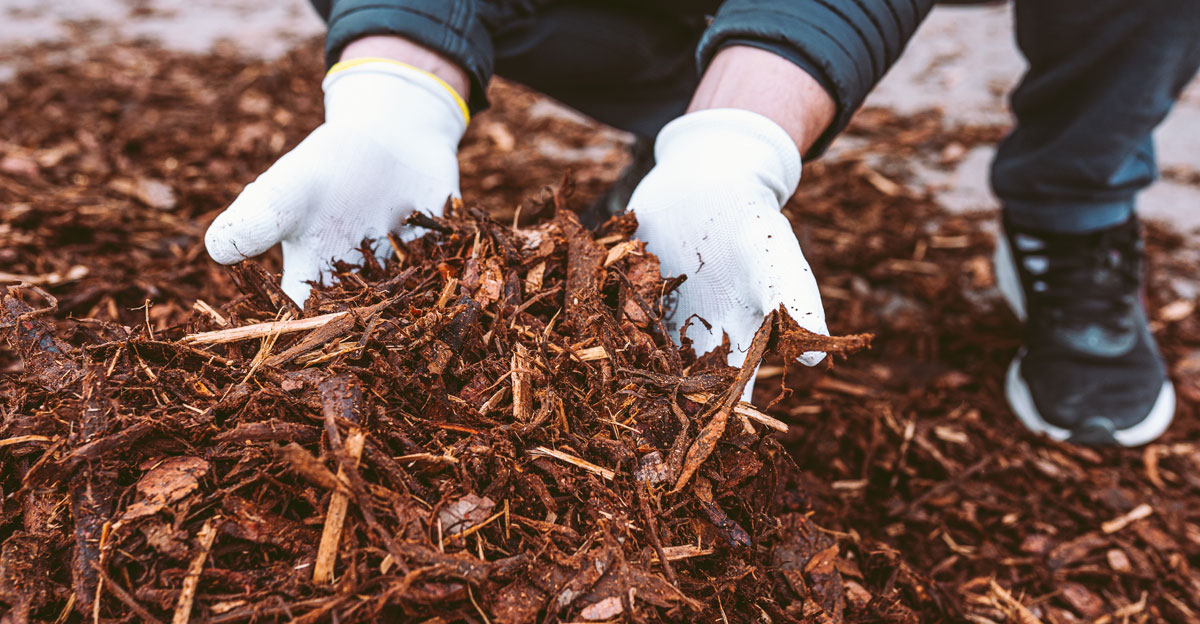 Preparing your garden for summer
